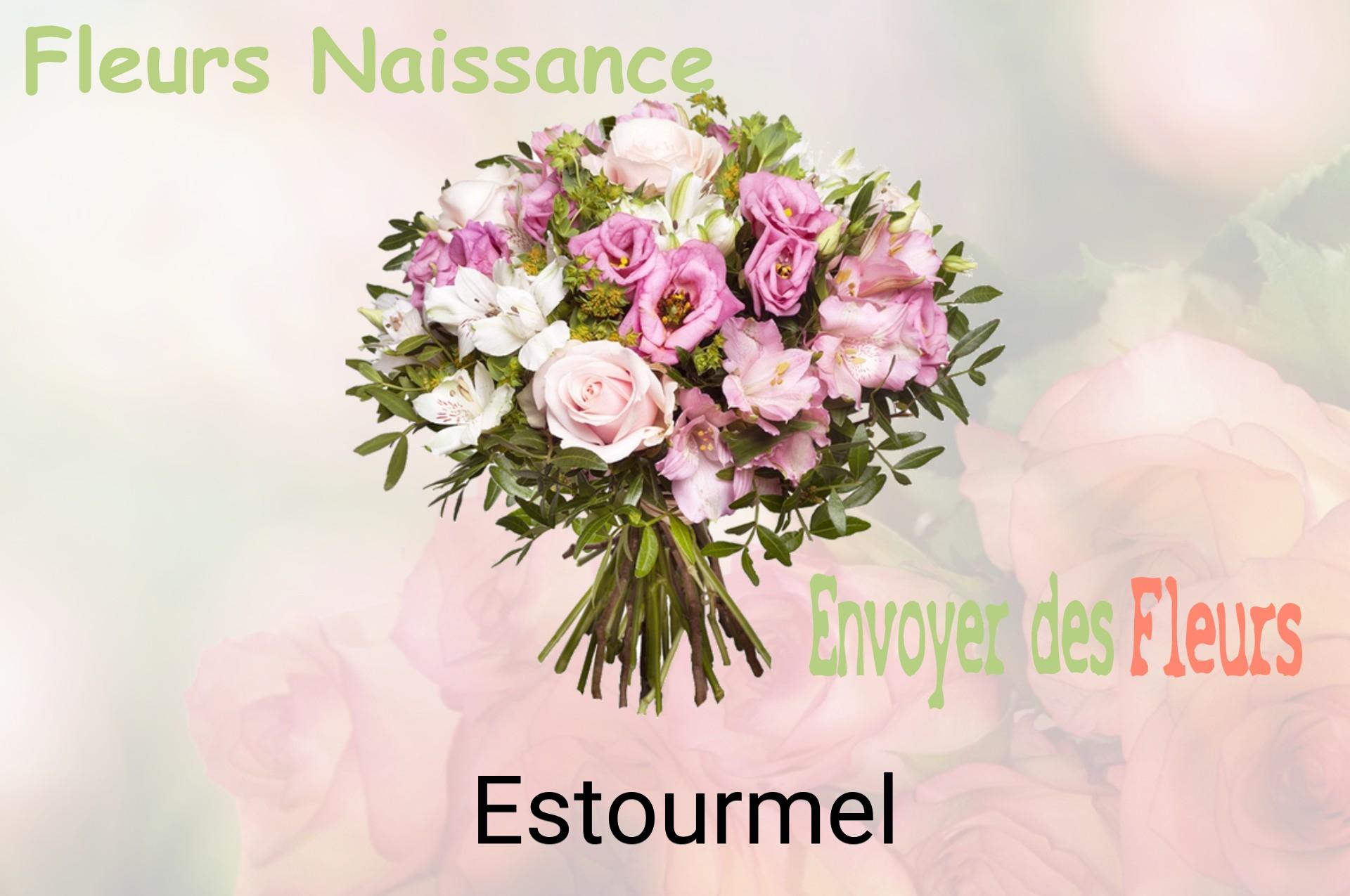 Bouquet de fleurs de naissance livré à Estourmel